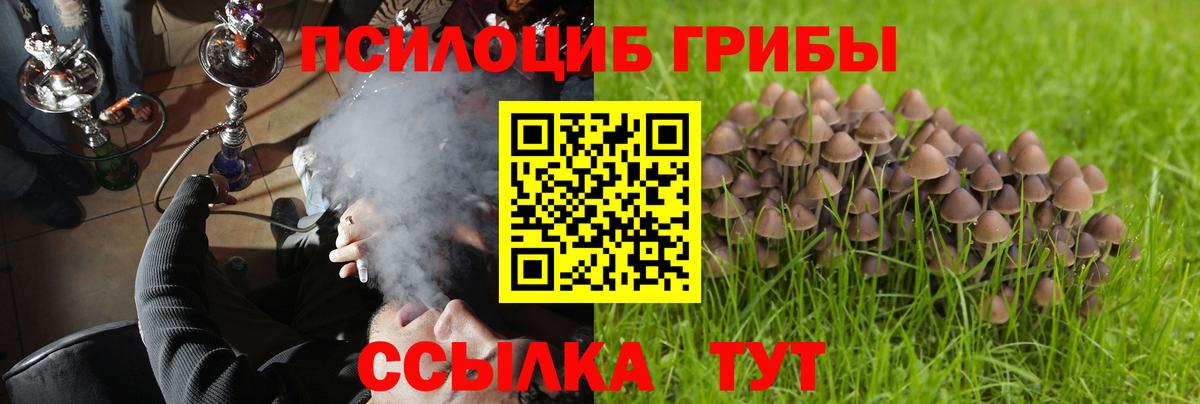 Галлюциногенные грибы GOLDEN TEACHER  Вход с VPN  Домодедово  Галлюциногенные грибы Cubensis 